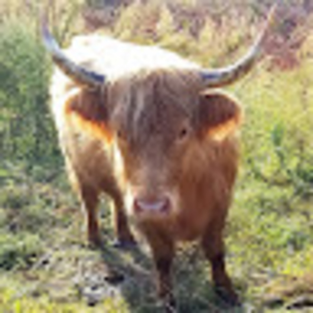 Meet your Posher, K